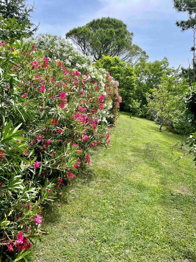 Gites Au Chateau Des Estubiers Les Granges-Gontardes Bagian luar foto